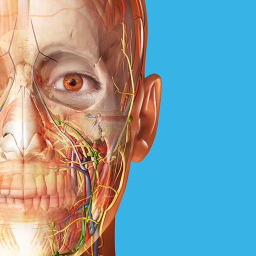 Human Anatomy Atlas 2027